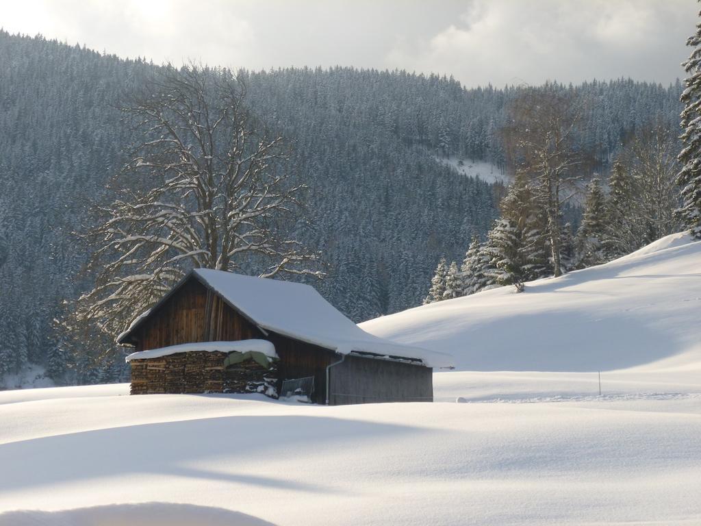 Ferienwohnung Bergblick Filzmoos Chambre photo