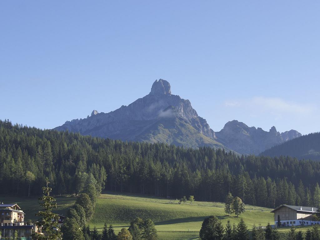 Ferienwohnung Bergblick Filzmoos Chambre photo